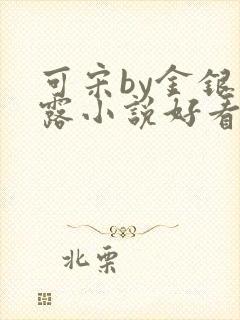 可宋by金银花露小说好看吗
