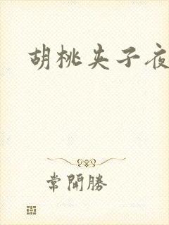 胡桃夹子夜未眠