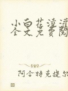 小白花浇灌日常全文免费阅读