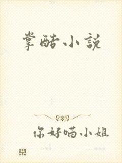 掌酷小说