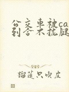 公交车被cao到合不拢腿视频