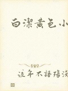 白洁黄色小说