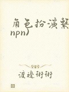 角色扮演系统(npn)