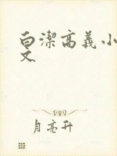 白洁高义小说全文