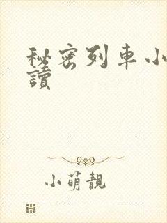 秘密列车小说阅读