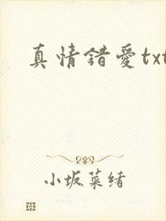真情错爱txt