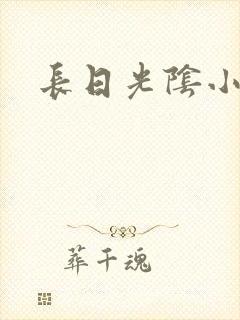 长日光阴小说