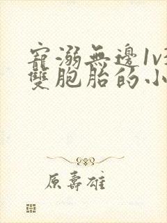 宠溺无边1v3双胞胎的小说