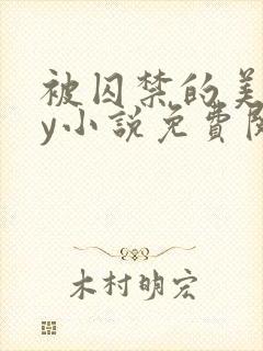 被囚禁的美人by小说免费阅读