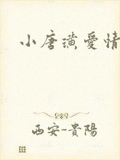 小唐璜爱情历史