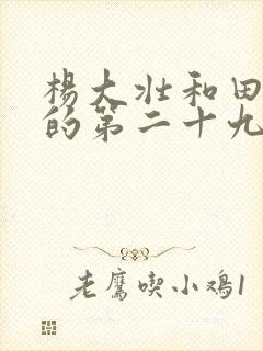 杨大壮和田桂花的第二十九