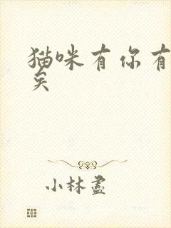 猫咪有你有我足矣