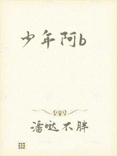少年阿b