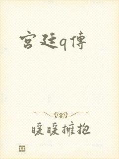 宫廷q传