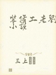 装修工老刘林雪小说