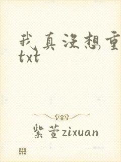 我真没想重生啊txt