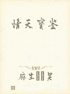 情天宝鉴