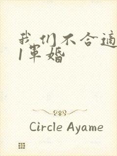 我们不合适1v1军婚