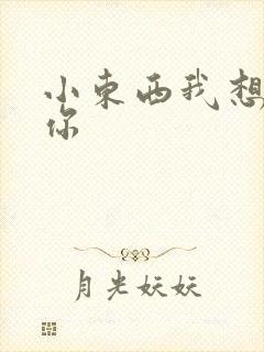 小东西我想弄坏你