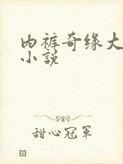 内裤奇缘大团结小说