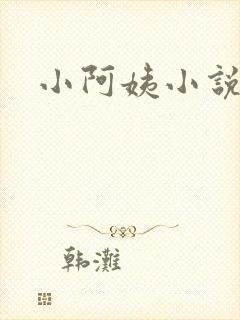 小阿姨小说