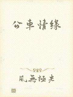 公车情缘