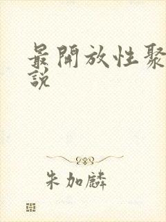 最开放性聚会小说