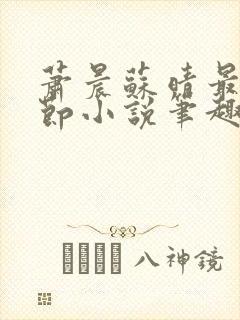 萧晨苏晴最新章节小说笔趣阁