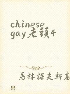 chinesegay老头4