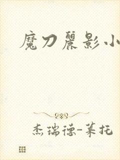 魔刀丽影小说