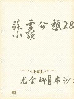 苏雪公憩28篇小说