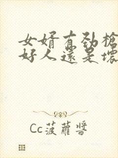 女婿有劲枪枪是好人还是坏人