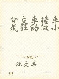 公交车后车座的疯狂的做小