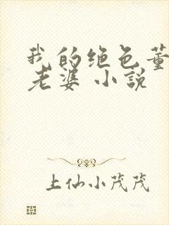 我的绝色董事长老婆 小说