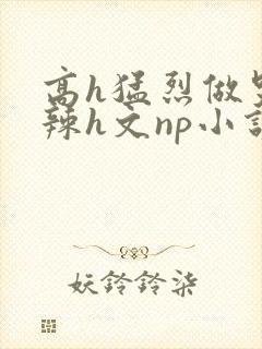 高h猛烈做哭高辣h文np小说