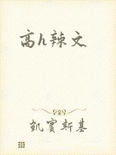 高h辣文