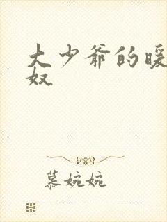 大少爷的暖床小奴