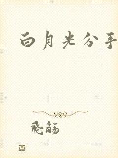 白月光分手日常