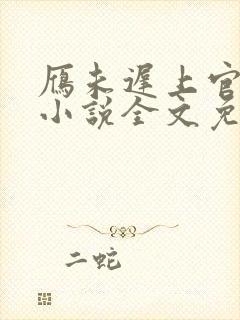 雁未迟上官穿越小说全文免费阅读