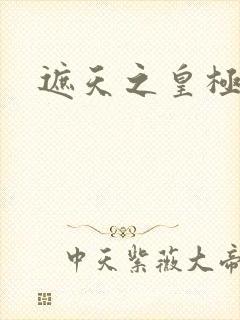 遮天之皇极帝道