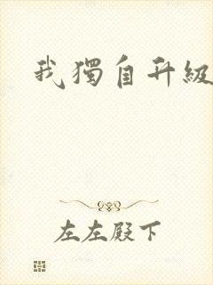 我独自升级小说