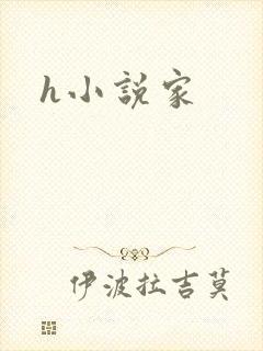 h小说家