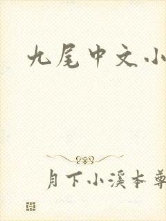 九尾中文小说网
