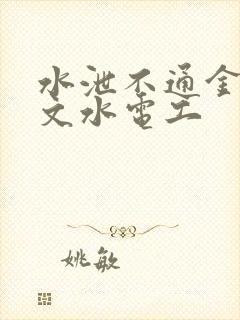 水泄不通金银原文水电工