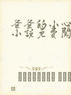 爸爸的小心肝儿小说免费阅读