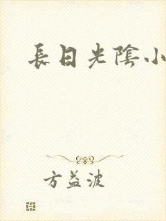 长日光阴小说