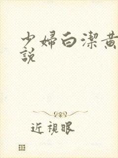 少妇白洁黄色小说