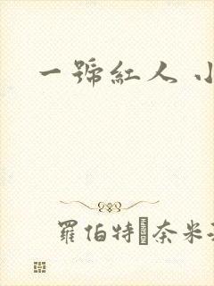 一号红人 小说