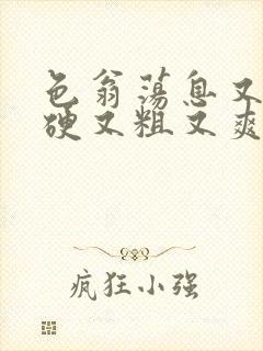 色翁荡息又大又硬又粗又爽电影