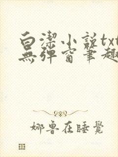 白洁小说txt无弹窗笔趣阁